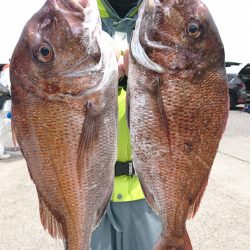 第三共栄丸 釣果