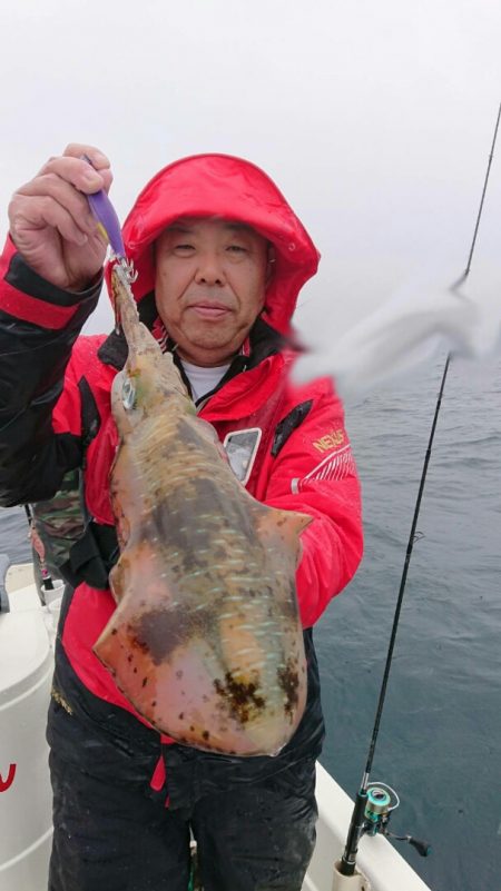 きずなまりん 釣果