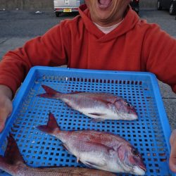 第三共栄丸 釣果