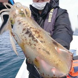 きずなまりん 釣果