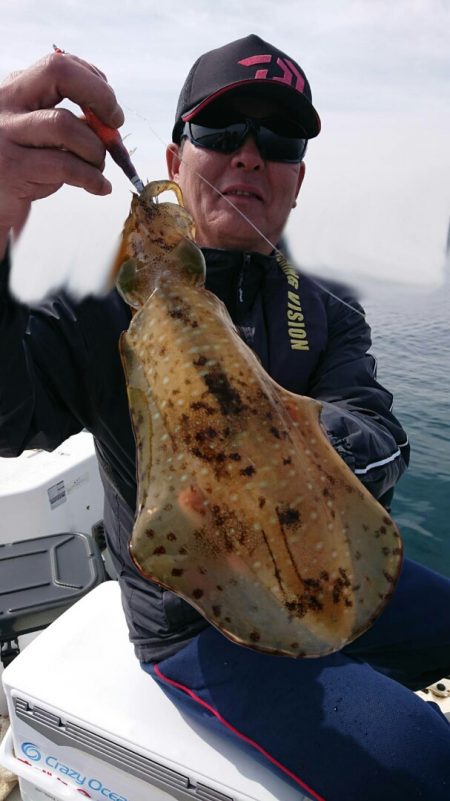 きずなまりん 釣果