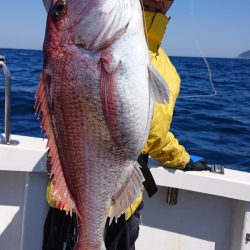 ARCADIAⅡ （アルカディアⅡ） 釣果