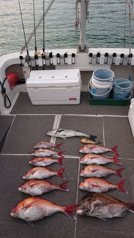 ARCADIAⅡ （アルカディアⅡ） 釣果