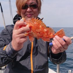 ARCADIAⅡ (アルカディアⅡ) 釣果