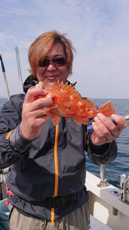 ARCADIAⅡ (アルカディアⅡ) 釣果