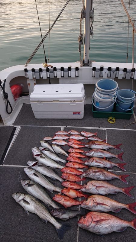 ARCADIAⅡ (アルカディアⅡ) 釣果