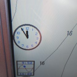 タイラバ遊漁船 ワンピース 釣果