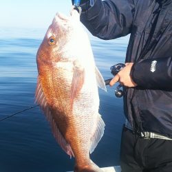 ブルドック 釣果