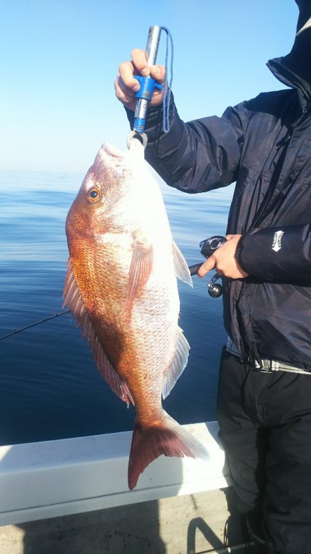 ブルドック 釣果