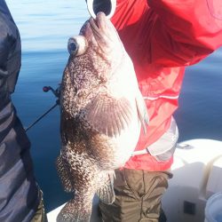 ブルドック 釣果