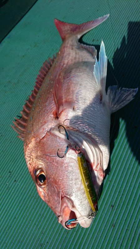 鷹王丸 釣果