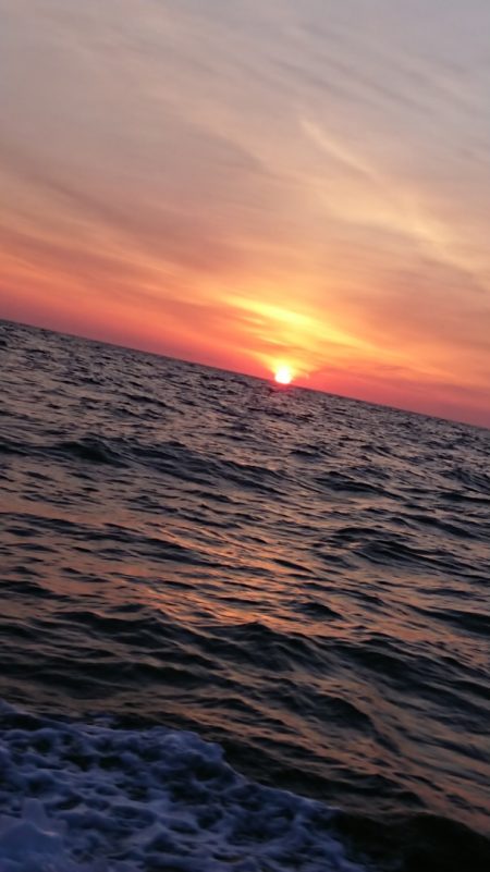 金沢八景鴨下丸 釣果