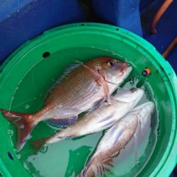 金沢八景鴨下丸 釣果