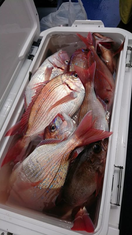 金沢八景鴨下丸 釣果