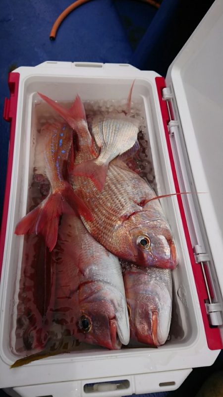 金沢八景鴨下丸 釣果