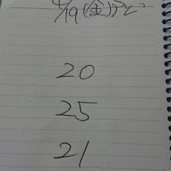 金沢八景鴨下丸 釣果