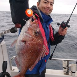 ARCADIAⅡ （アルカディアⅡ） 釣果