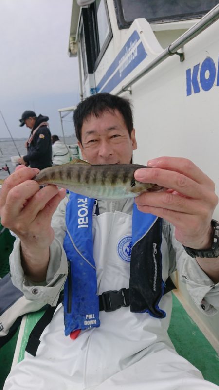 金沢八景鴨下丸 釣果