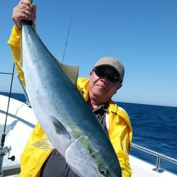 LUSTER『ラスター』 釣果