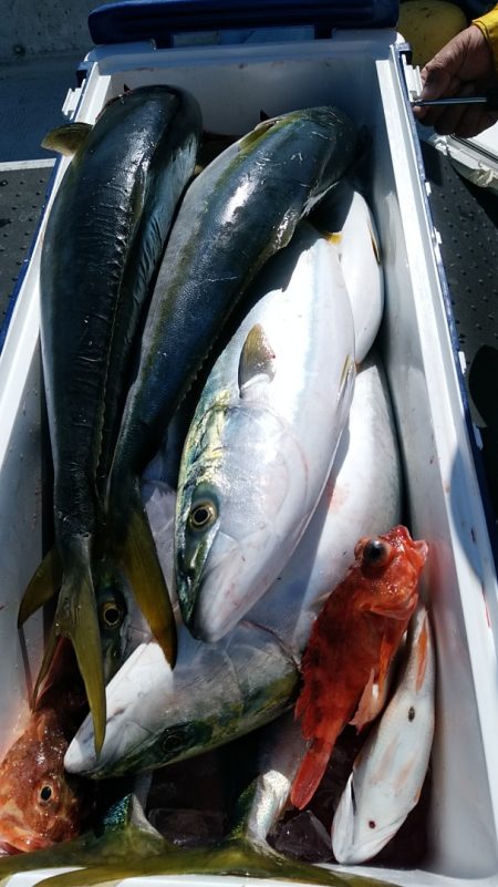 LUSTER『ラスター』 釣果