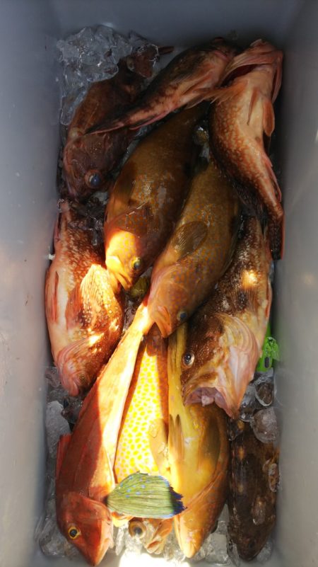 第二龍勢丸 釣果