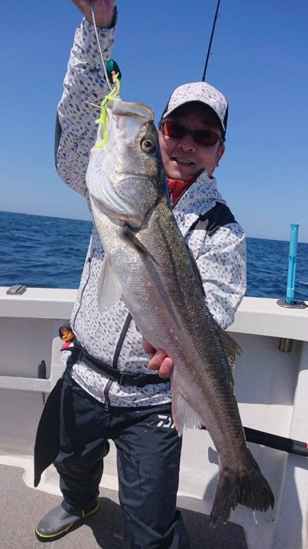 ARCADIAⅡ (アルカディアⅡ) 釣果