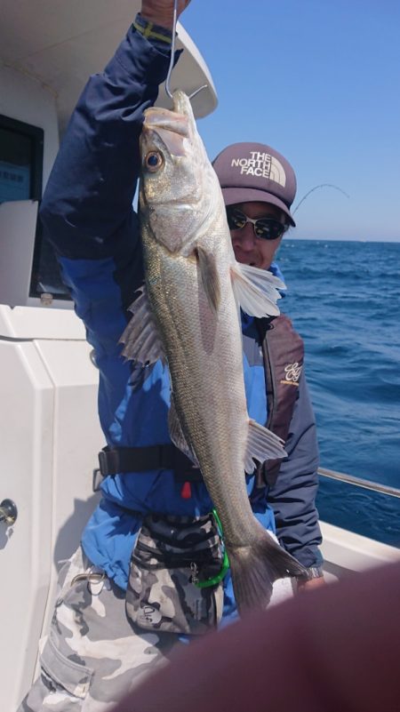 ARCADIAⅡ (アルカディアⅡ) 釣果