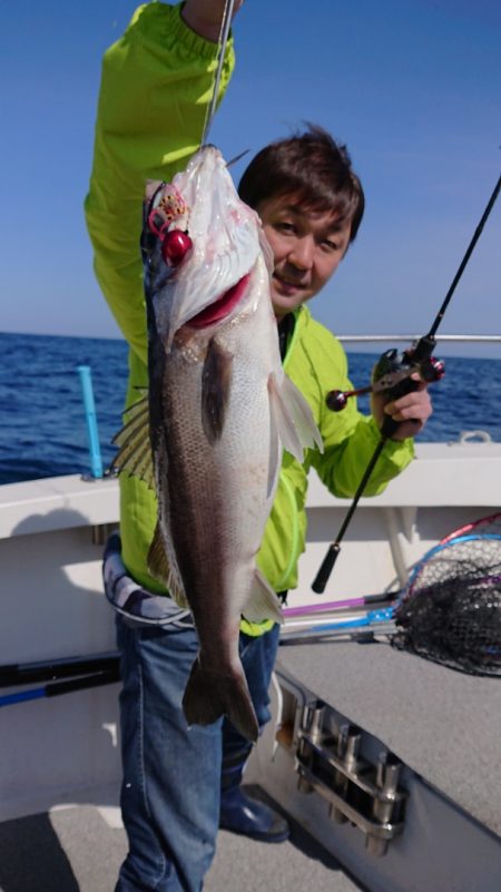 ARCADIAⅡ (アルカディアⅡ) 釣果