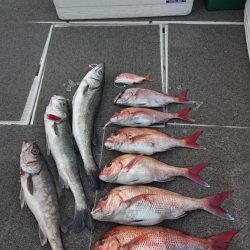 ARCADIAⅡ (アルカディアⅡ) 釣果