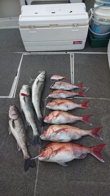 ARCADIAⅡ (アルカディアⅡ) 釣果