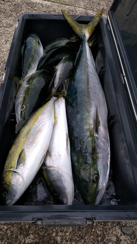 LUSTER『ラスター』 釣果