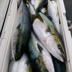 LUSTER『ラスター』 釣果