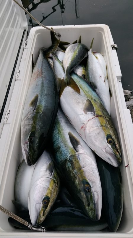 LUSTER『ラスター』 釣果