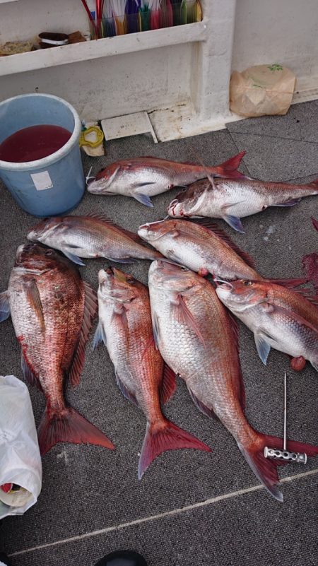 ARCADIAⅡ (アルカディアⅡ) 釣果