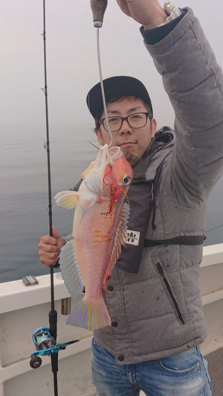 ARCADIAⅡ (アルカディアⅡ) 釣果