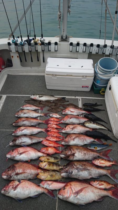 ARCADIAⅡ (アルカディアⅡ) 釣果