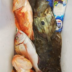 第二龍勢丸 釣果