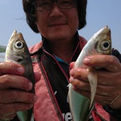 金沢八景鴨下丸 釣果