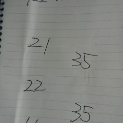 金沢八景鴨下丸 釣果