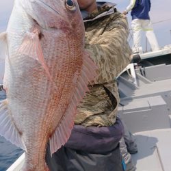 だて丸 釣果