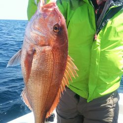 ブルドック 釣果