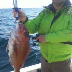 ブルドック 釣果