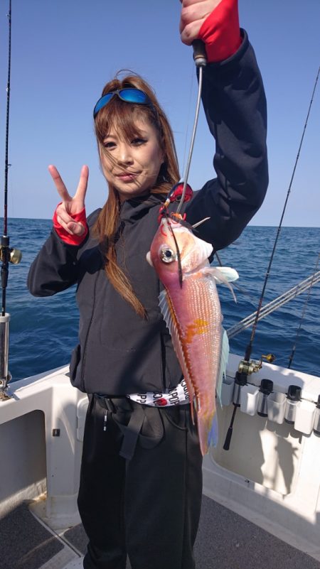 ARCADIAⅡ (アルカディアⅡ) 釣果