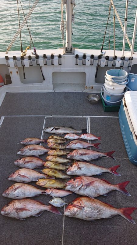 ARCADIAⅡ (アルカディアⅡ) 釣果