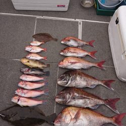 ARCADIAⅡ (アルカディアⅡ) 釣果