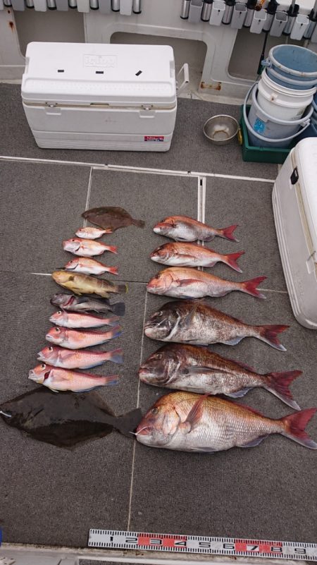 ARCADIAⅡ (アルカディアⅡ) 釣果