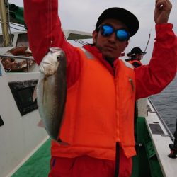 金沢八景鴨下丸 釣果