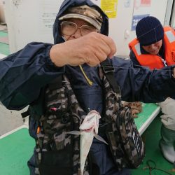 金沢八景鴨下丸 釣果