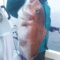 ブルドック 釣果