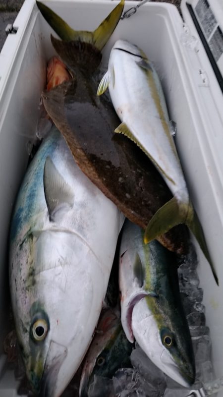 LUSTER『ラスター』 釣果